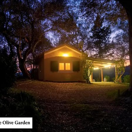 Ágios Ioánnis House In The Olive Garden 아파트 외부 사진