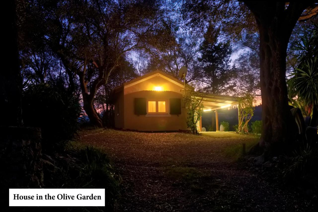 Ágios Ioánnis House In The Olive Garden 아파트 외부 사진