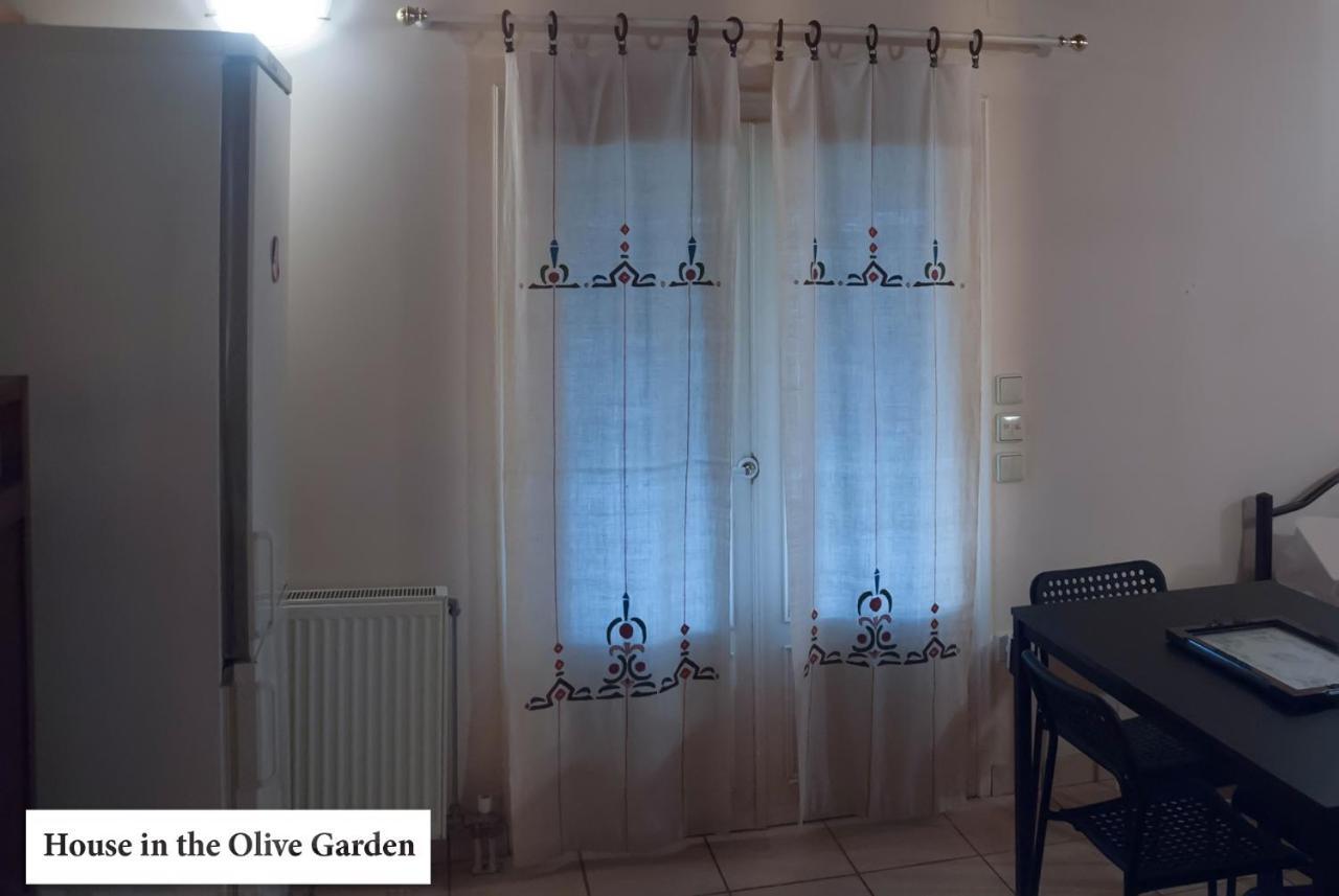 Ágios Ioánnis House In The Olive Garden 아파트 외부 사진
