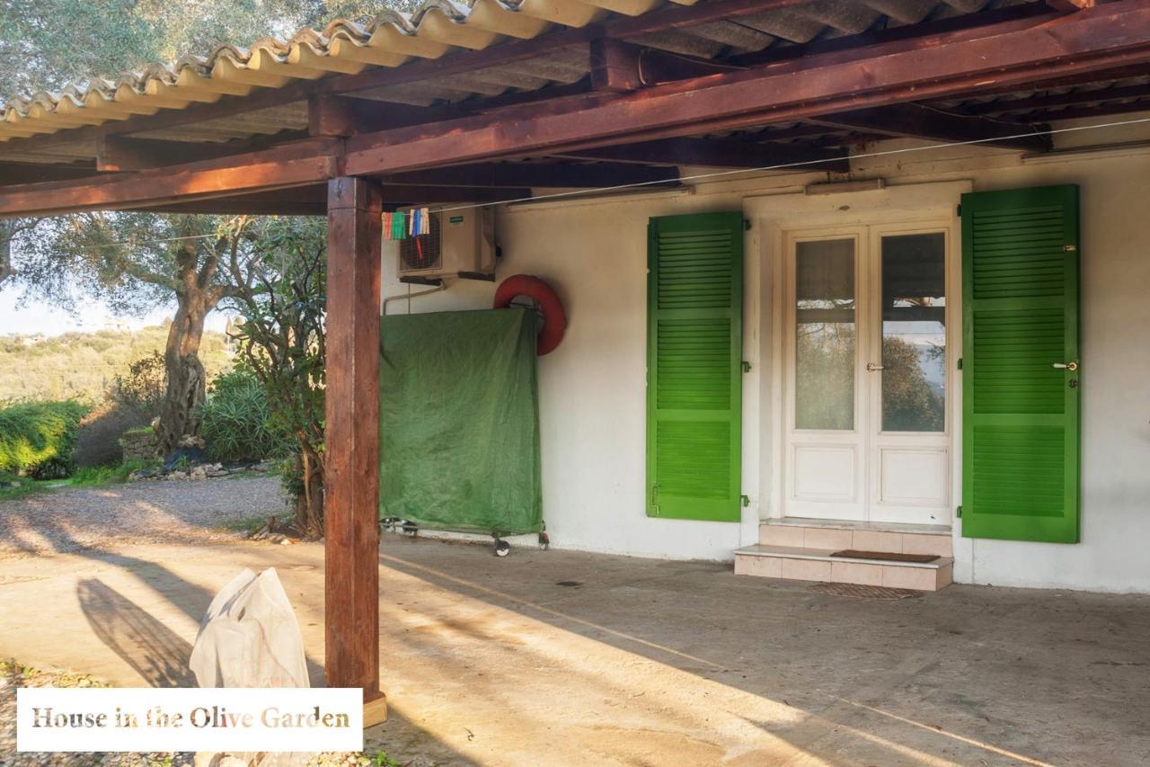 Ágios Ioánnis House In The Olive Garden 아파트 외부 사진