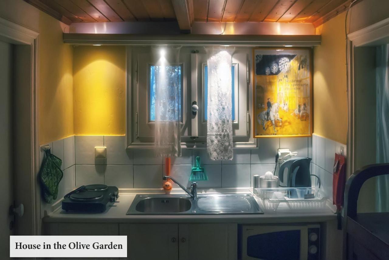 Ágios Ioánnis House In The Olive Garden 아파트 외부 사진
