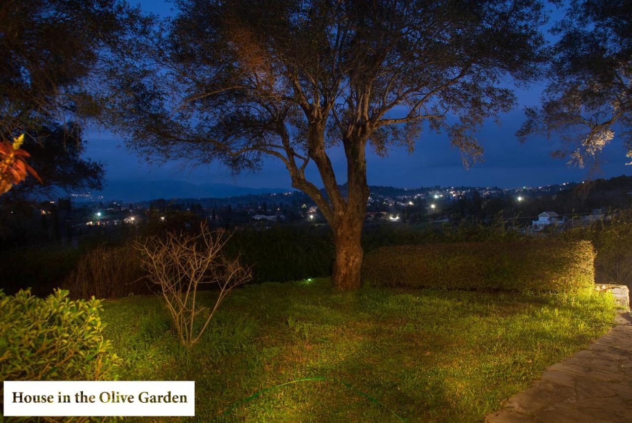 Ágios Ioánnis House In The Olive Garden 아파트 외부 사진