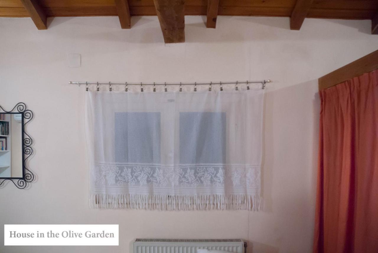 Ágios Ioánnis House In The Olive Garden 아파트 외부 사진