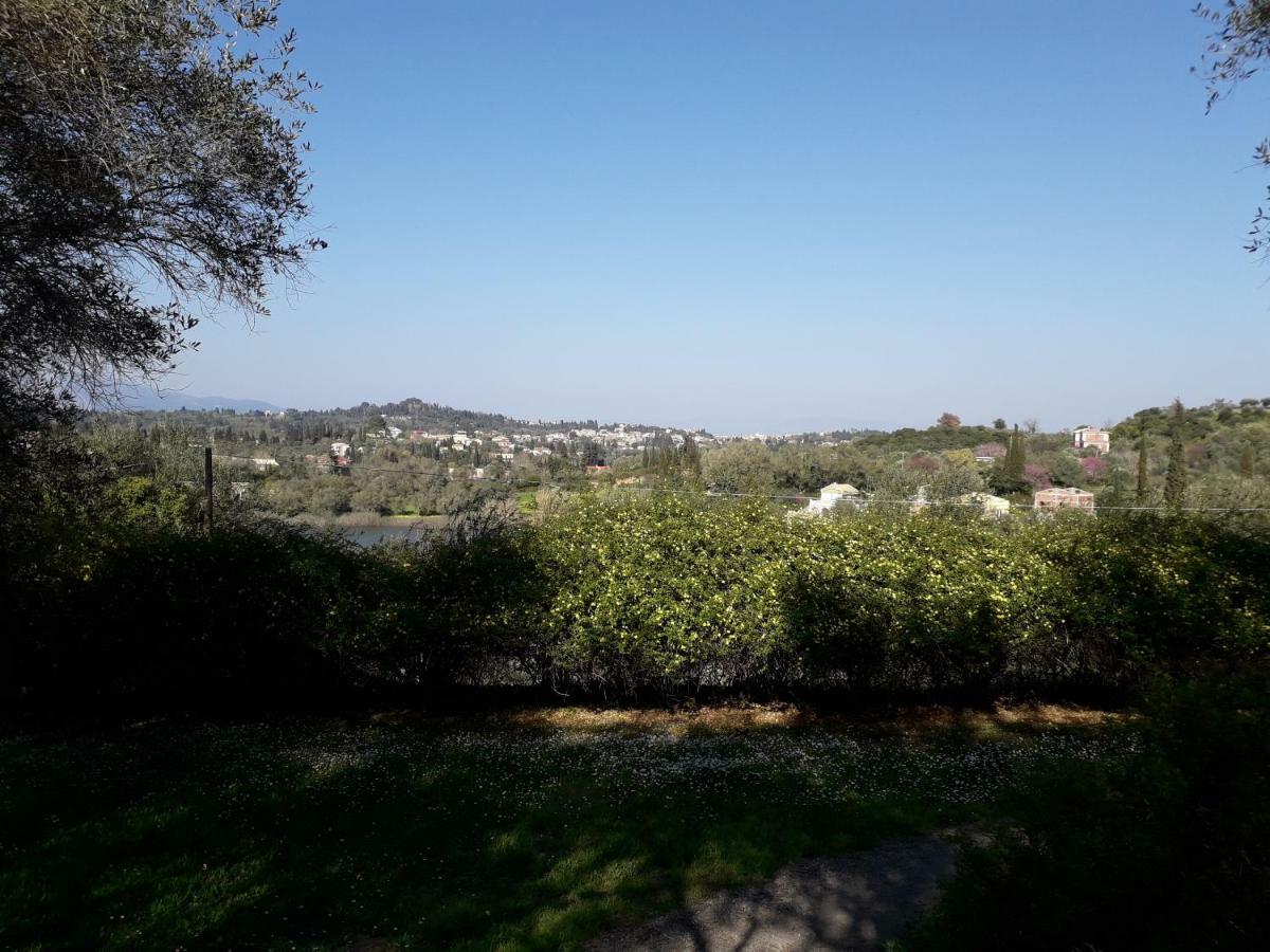 Ágios Ioánnis House In The Olive Garden 아파트 외부 사진