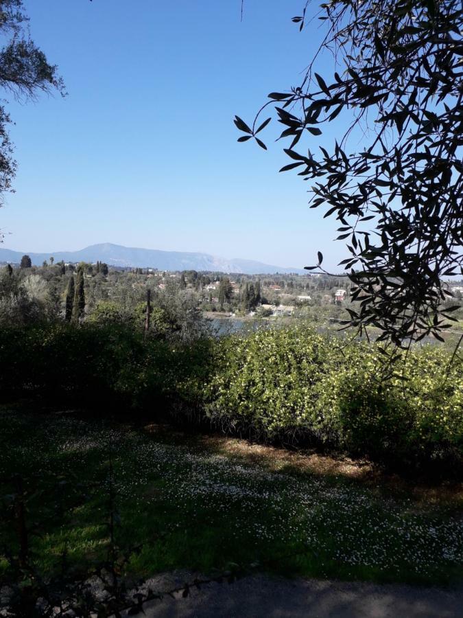 Ágios Ioánnis House In The Olive Garden 아파트 외부 사진