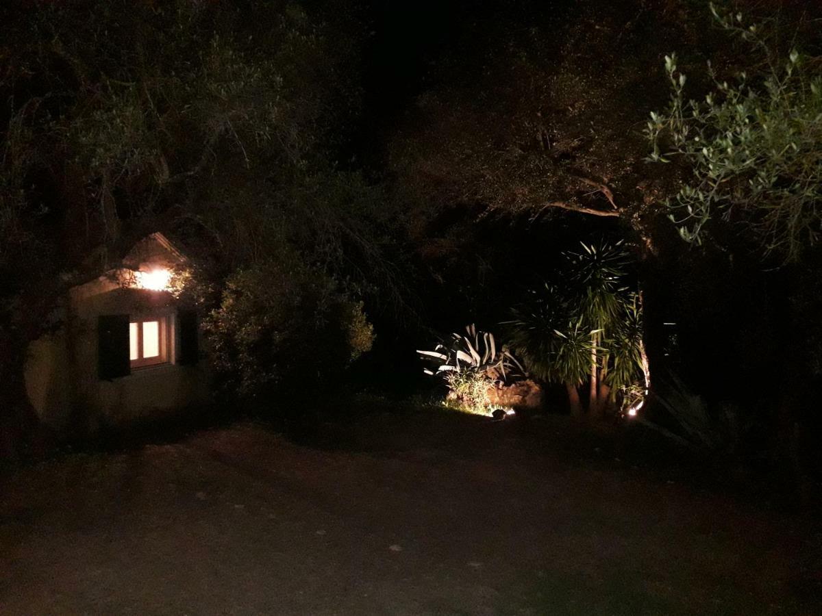 Ágios Ioánnis House In The Olive Garden 아파트 외부 사진