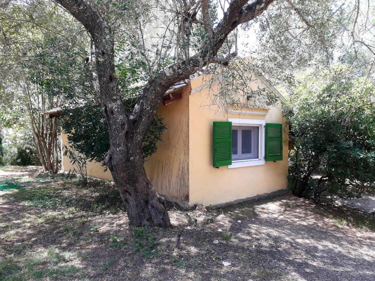 Ágios Ioánnis House In The Olive Garden 아파트 외부 사진