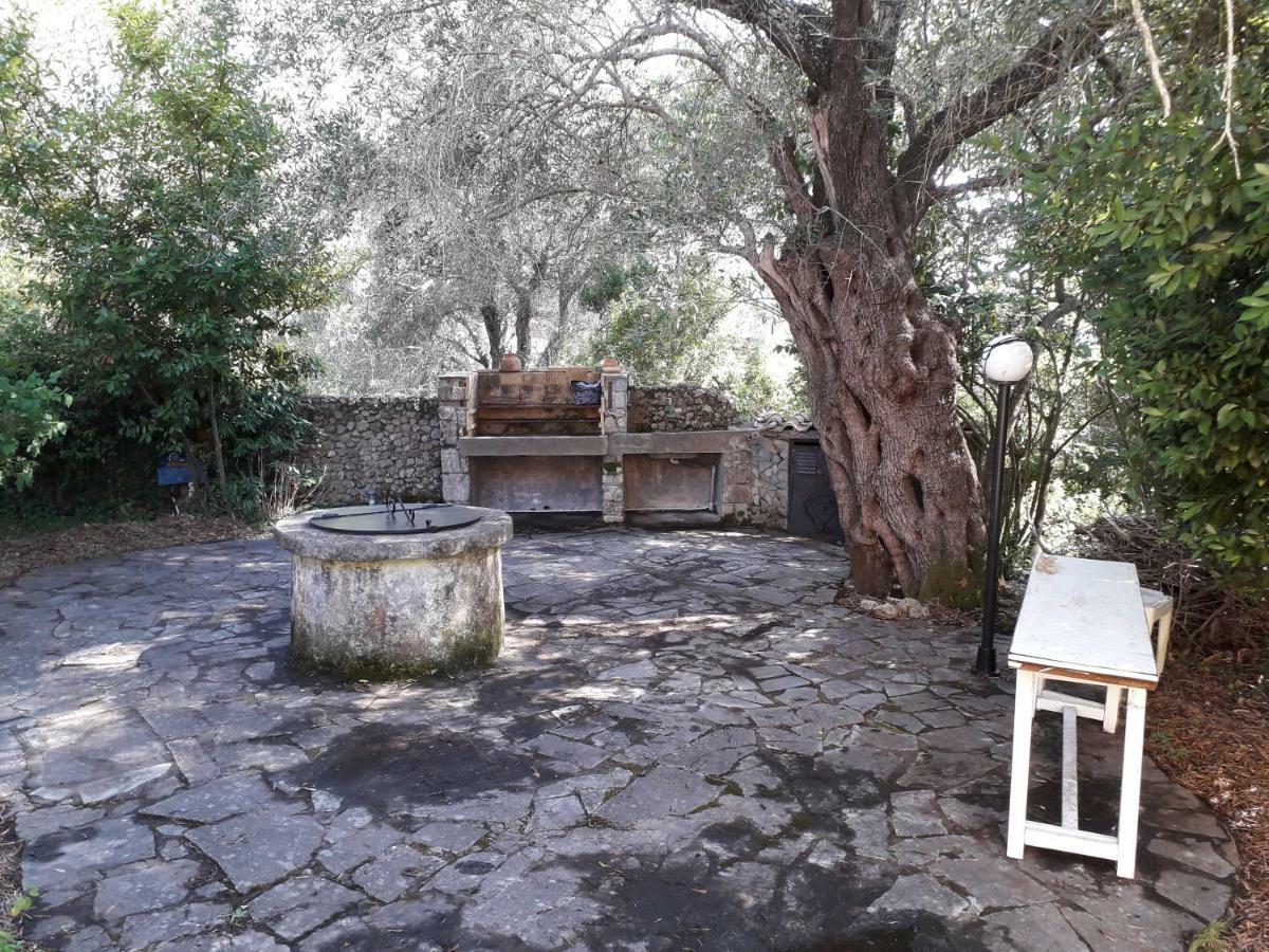 Ágios Ioánnis House In The Olive Garden 아파트 외부 사진