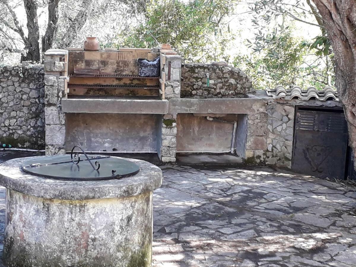 Ágios Ioánnis House In The Olive Garden 아파트 외부 사진