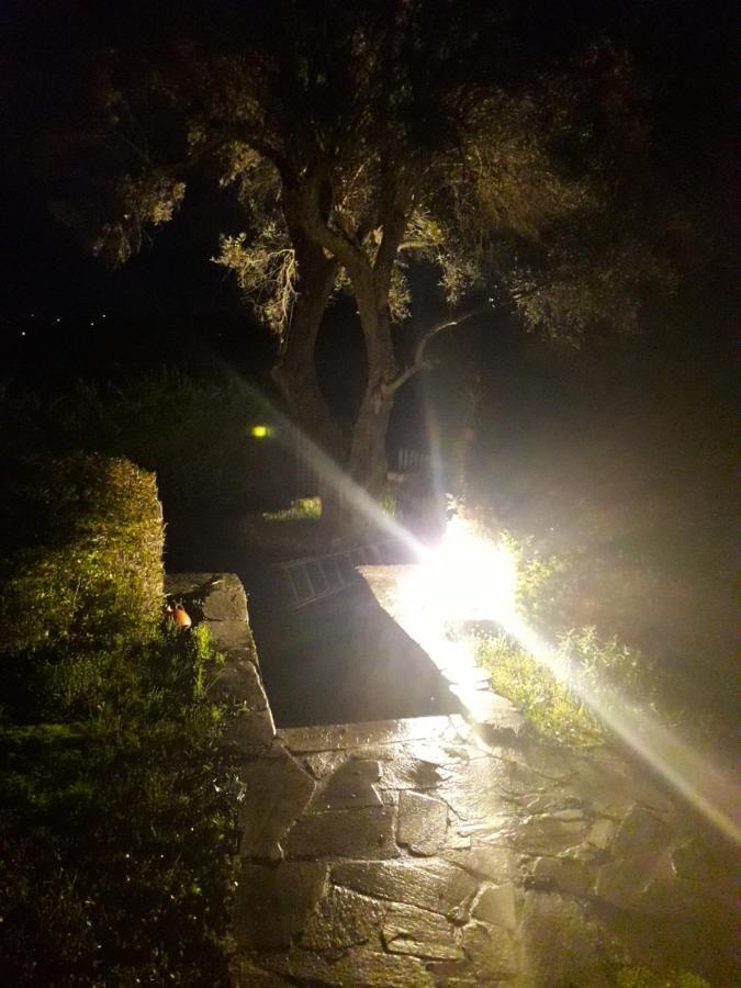 Ágios Ioánnis House In The Olive Garden 아파트 외부 사진