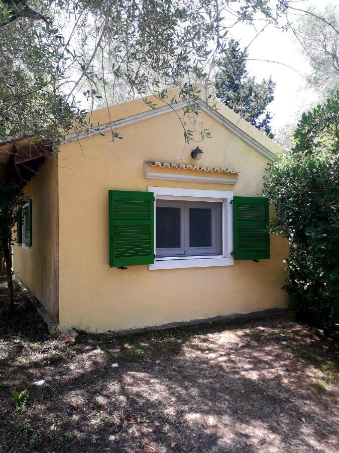 Ágios Ioánnis House In The Olive Garden 아파트 외부 사진